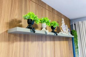 Praia de Palmas, 500m, Conforto e Praticidade, 0178