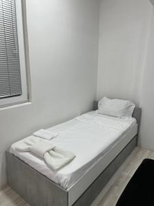 Pasha Apartments 2