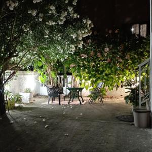 Nice summer apartment near sea