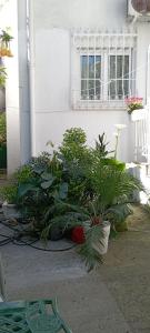 Nice summer apartment near sea