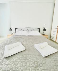 Roof Top Apartment By Athens Airport