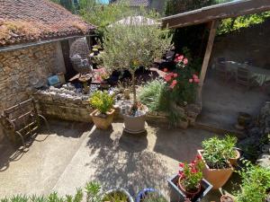 B&B / Chambres d'hotes Chambre d'Hotes les 3 Cochons d'Olt : photos des chambres