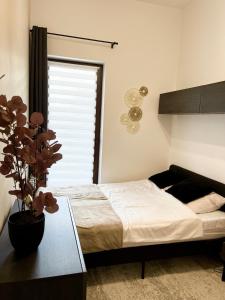 Apartament P52 Wrocław