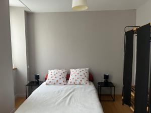 Joli 2 pièces plein centre avec possibilité garage