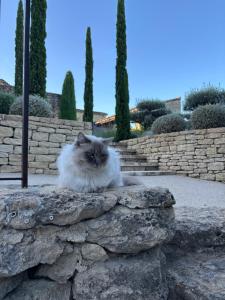 Maisons d'hotes Le jardin suspendu : photos des chambres