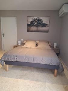 logement indépendant avec terrasse privative dans les Alpilles