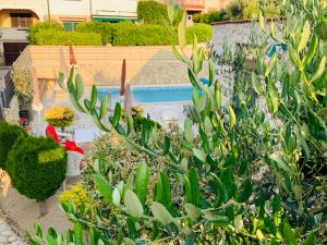 Villa EVAMAR, Island Krk Punat