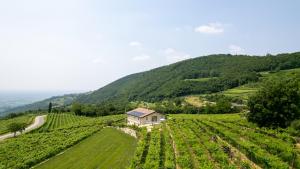 Agriturismo Pietra Sorgente