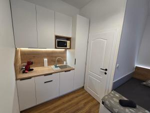 Delux apartment ARSO 