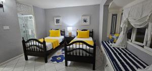 Paradise View- Oceanfront Oasis