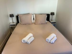 Cosy gare saint charles