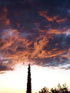 Chambre Double Standard avec Salle de Bains Commune