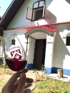 Vinný sklípek STARÝ VINAŘ