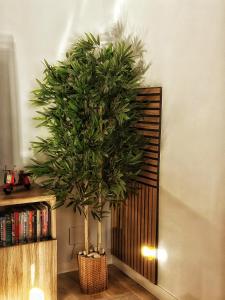 Habitación premium