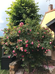 Appartements Gite Les Colibris 3 - spa - 6 pers : photos des chambres