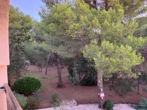 Appartements Home dans la pinede pour 4 personnes : photos des chambres