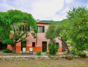 Country House With Big Garden