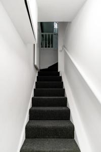 Charming & Spacious 3BR 2BR House in Paddington!