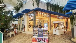 Apartment 5 min walking to the beach at Paraíso