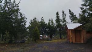 Refugio entre Coihues