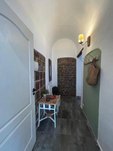 Pé na Terra Quintal