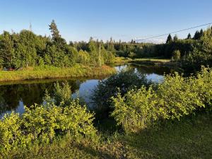 Jäneda Safari Puhkemaja