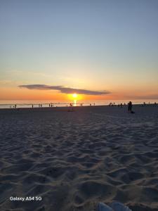 Maisons de vacances Les Oliviers de la Baie gite- Le Relais de la Baie : Maison 1 Chambre
