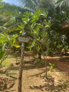 Araliya Self Cooking Resort Dambulla