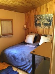 Chalets Petit chalet cosy a saint-Anne 04 : photos des chambres