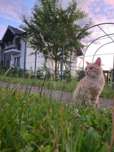 Pensiunea Remember Me