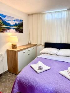 Apartman Ružić - 3hvězdičkové hotely ve městě Delnice