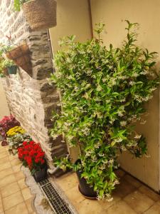 Maisons de vacances Gite Ouillypontain : photos des chambres