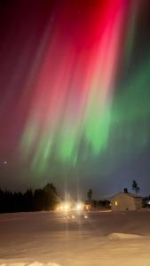 Cozy little house at Byske