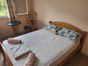 Sejours chez l'habitant Private Room-1 in HANNANA Apartment- 2 min walk To Tram 12 min to Nice train station 15 min to Massena Place : photos des chambres