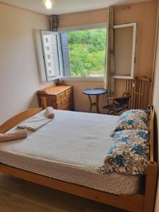 Sejours chez l'habitant Private Room-1 in HANNANA Apartment- 2 min walk To Tram 12 min to Nice train station 15 min to Massena Place : photos des chambres