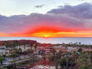 Ocean View with Sunset in Palm Mar- Pool- Wifi - Parking