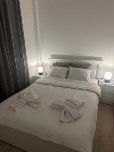 Apt1- Sokobanjica apartmani