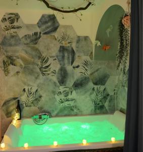 Appartements Jungle Spa - Cocon tropical et depaysant avec balneo en plein coeur de Pezenas ! : photos des chambres