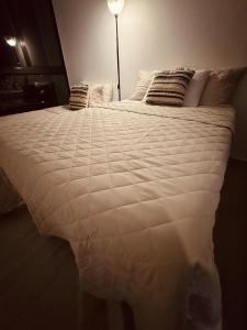 Beautiful City & Volcano Views