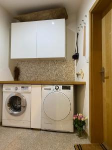 Apartments Loket No 59 se zahradou