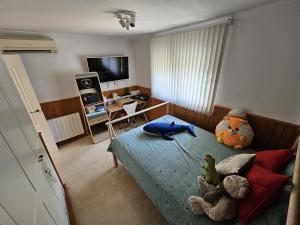 Amazing Villa with swimming pool in El Vedat de Torrente