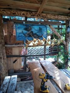 U Michała - dom pod lasem