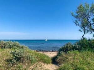 Appartements Jungle Spa - Cocon tropical et depaysant avec balneo en plein coeur de Pezenas ! : Appartement 1 Chambre