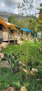 Glamping Villa de Leyva