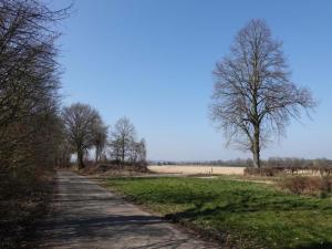 Holiday Home near Bemelerberg Reserve