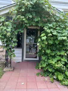 The Paradise House steps from the Heart of Hertel