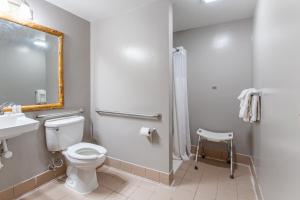 King Room with Roll-in Shower - Disability Access - Non-Smoking room in Quality Inn & Suites Butte