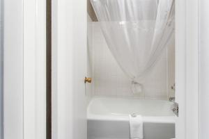 King Studio with Sofa Bed - Non-Smoking room in Quality Inn & Suites Butte