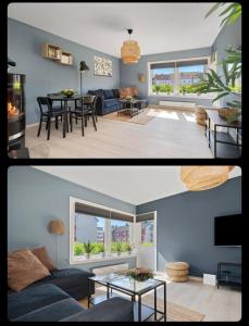 Great Downtown Apartment