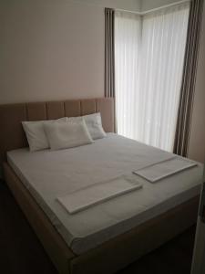 Free Comfort Apartment Star Dojran